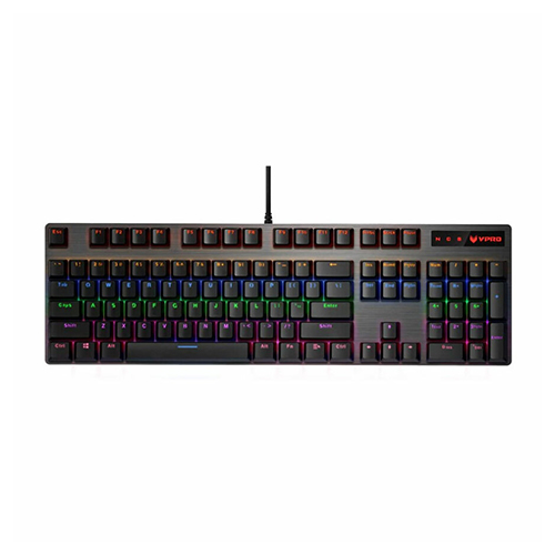 کیبورد گیمینگ رپو V500 RGB Mechanical